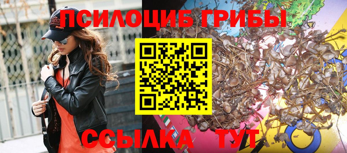 Сафоново  Галлюциногенные грибы мицелий  Вход с VPN  Псилоцибиновые грибы GOLDEN TEACHER 