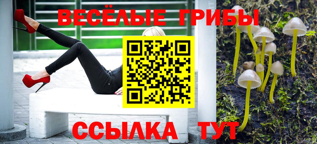 Галлюциногенные грибы Cubensis Сафоново